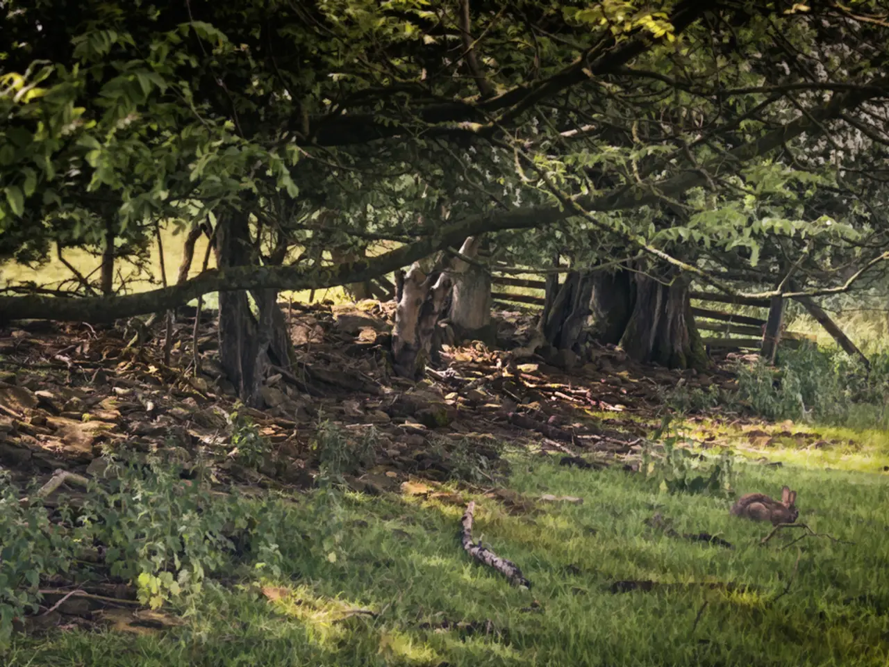 Transforming to a Permaculture Existence: From Concept to Implementation