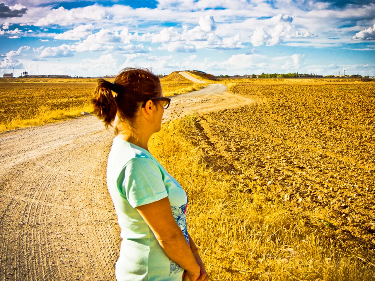 Job Posting for Non-Governmental Organization Opportunities