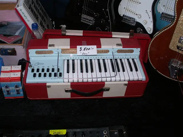 Ibiza Students Benefit from Special Partner Discounts