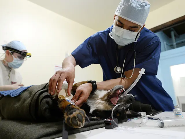 "Health conflict's justification by Spahn for Maskendeals"