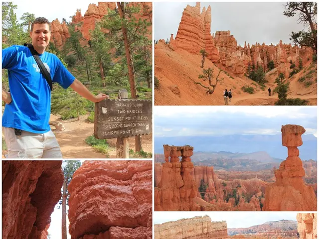 World Heritage Committee's 47th Meeting Highlights - Our Website's Main Points, July 4, 2025