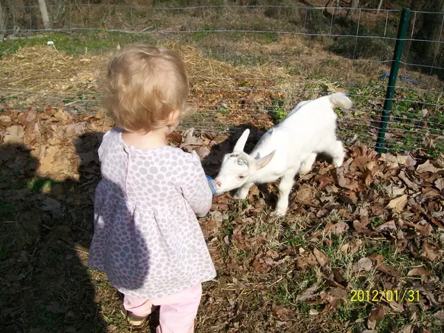 Fair Registration for the 4-H Clover at the Freeborn County Fair ends on the 23rd of June