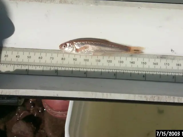 Time Mapping Explanation: Technique for Organizing Tasks and Time Effortlessly, with Advantages and...