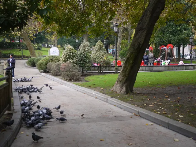 Refurbished Outdoor Play Area Owned by Soldnerstraße Middle School in Fürth Now Serves as Venue for...