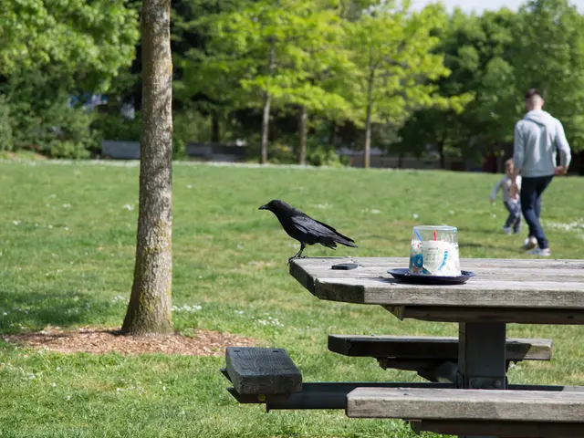 Outdoor Mathematical Activities Fostering Awe for Various Age Groups, Encouraging Fun and Learning...
