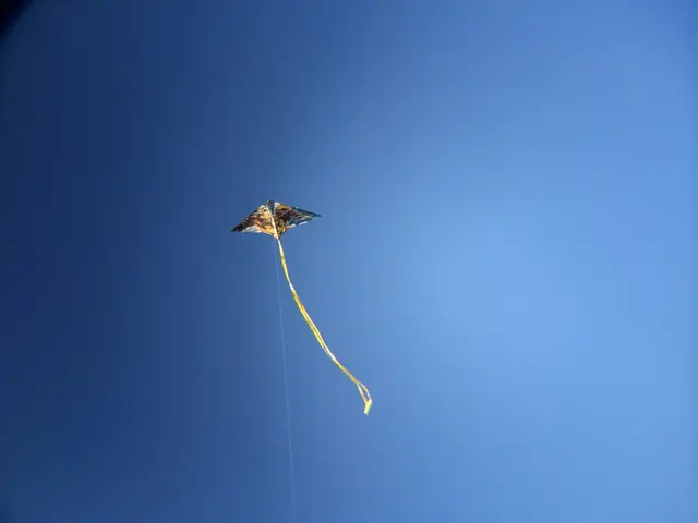 Kids' Wind-Powered Fun and Learning