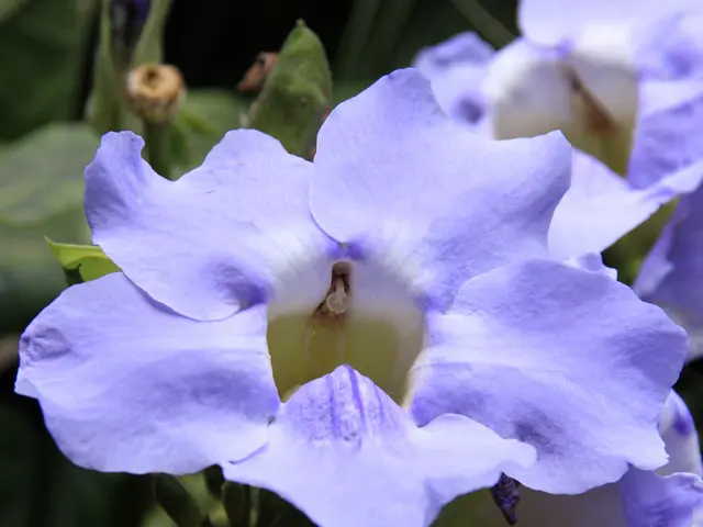 Enhancing Daily Productivity Through Morning Meditation