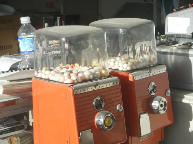 Child-Friendly Science Experiments to Explore and Learn