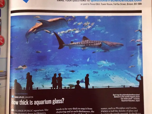 Survival of the Human Race and the Impact of Employment Segregation