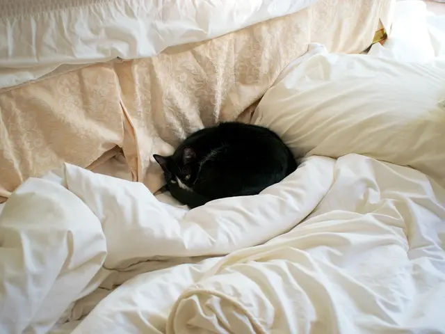 Consistently Adhering to These 5 Habits Indicates Superior Organizational Skills in Your Daily Life