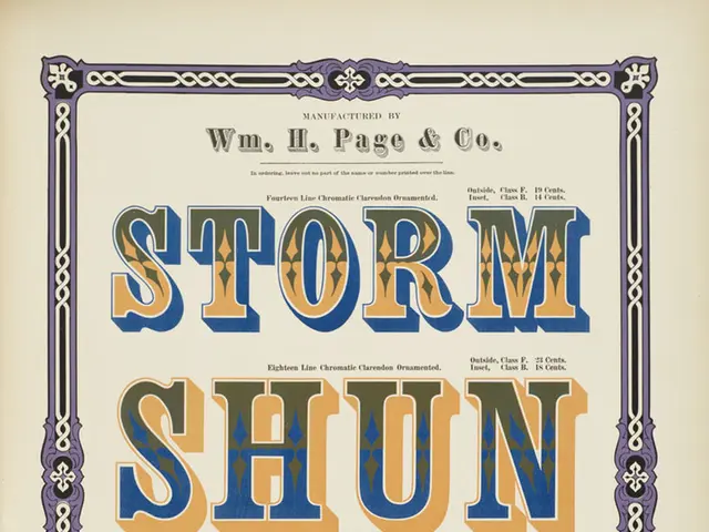 Graphic design simplified through Canva's innovative platform