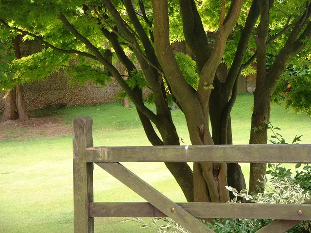 Green Economy Expertise: The Importance of Human Capital Investment