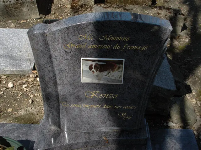 Unveiling secrets within the crypt: interpretations yet to be deciphered