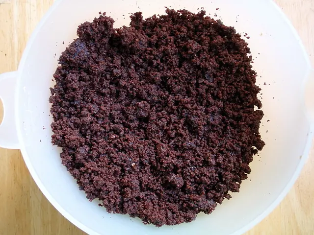 Understanding the Status of Ulcerative Colitis as a Disability: Legal Implications