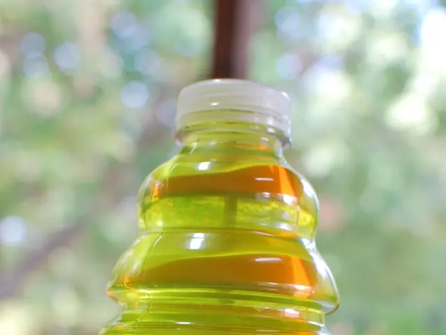 Discovering Top-Rated Weight Loss Plans: Where to Look