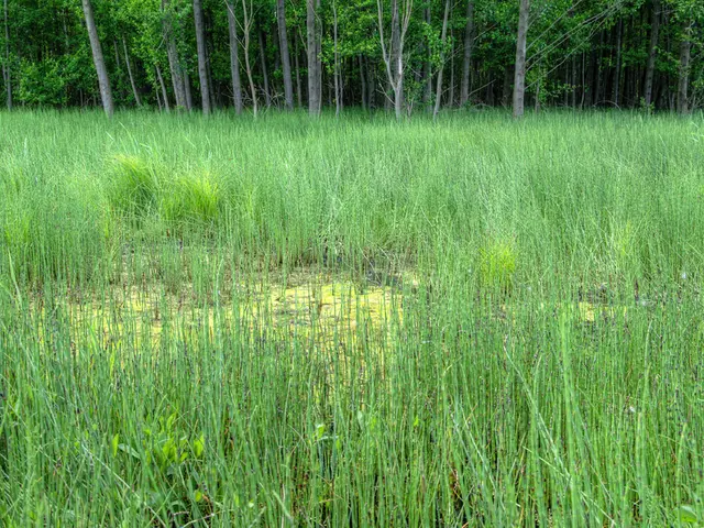 Enhancing Agricultural Research Investments Essential According to ICAR Director General