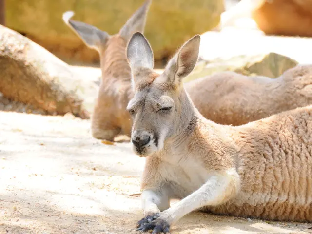 Shifts in societal dynamics guided by seasonal fluctuations