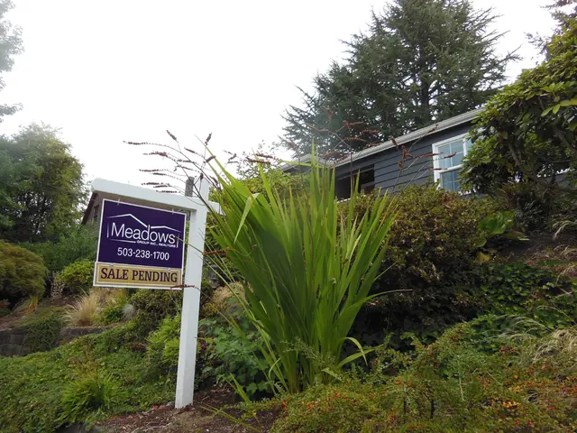 Dan Pearson tasked with devising landscape for Goodwood's latest Art Foundation project