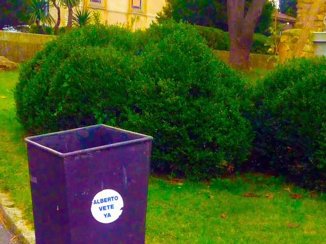 Airborne Impurities: A Look at Dust and Mold