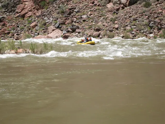 Project Highlights for Spring 2025's Youth Endeavor