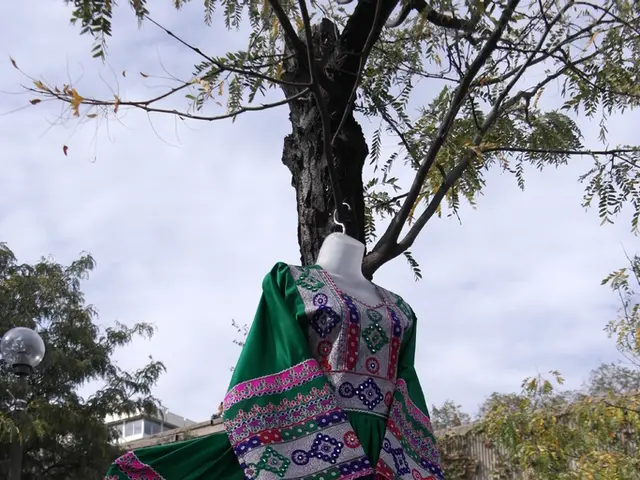 Rapid Expansion of Affordable Clothing Industry