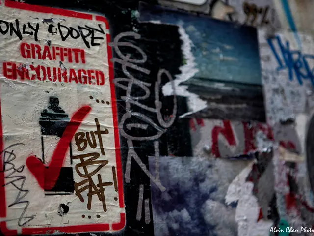 A new butterfly selfie-mural appears on a sports hall along the Rhine riverbank