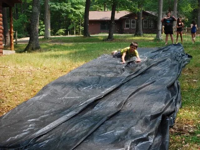 Challenges Faced by Homeless Youth in Pursuing Education