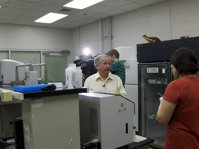 Top-Picked Free Video Editing Software of 2025: Comprehensive Review