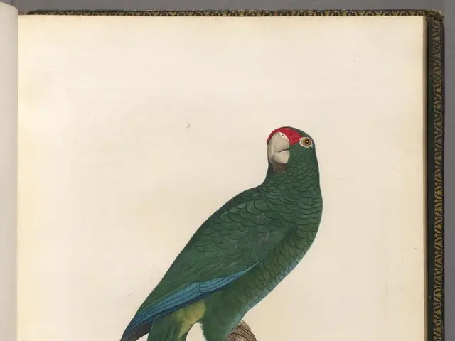 Empowering Achievement: Harnessing the Might of Amazon's Guiding Leadership Concepts