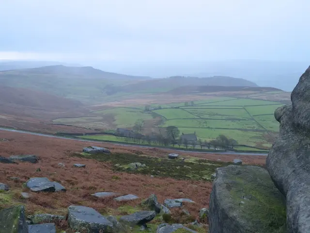 Competition for essential minerals escalates