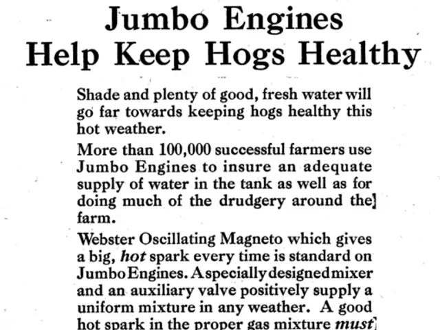 Grammatically and Spellingly Accurate Text Provided Freely by QuillBot