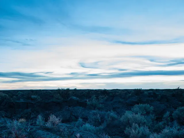 Fire department trains young recruits with real-world firefighting simulations