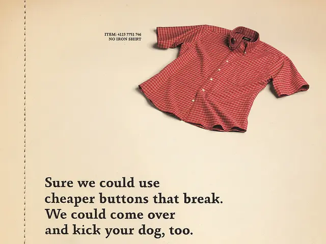 Top 12 Outstanding WordPress Themes for LearnDash in 2024