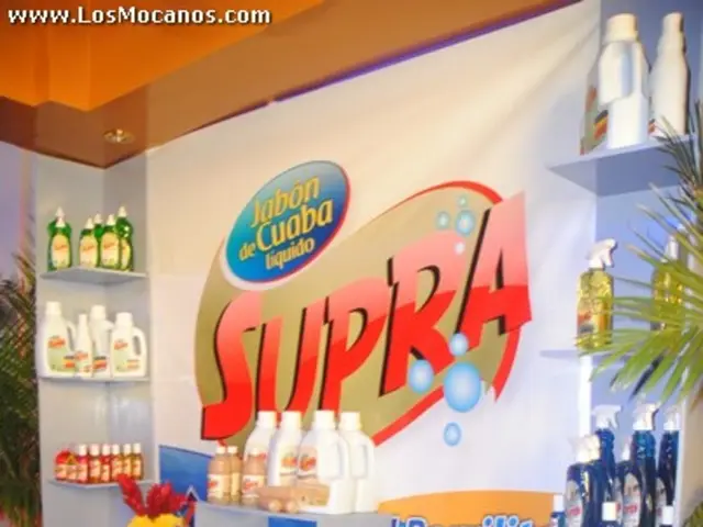 Strategies for Launching and Expanding Thriving Start-ups