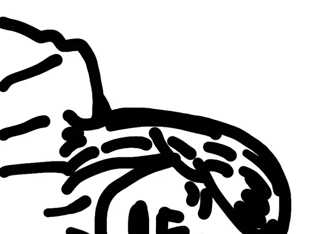 Exploration of Femininity as Captured by Sofia Coppola's Cinematic Vision