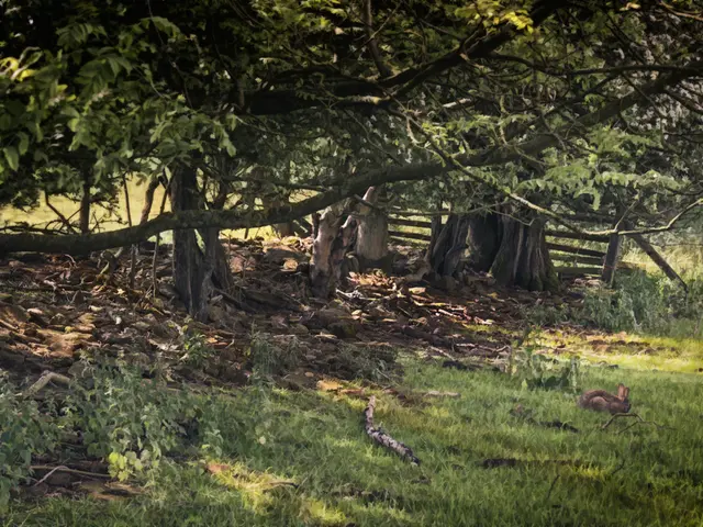 Transforming to a Permaculture Existence: From Concept to Implementation