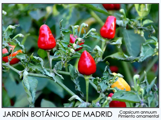 Restricted Vegetation Species Prohibited from Sales in Specific Regions