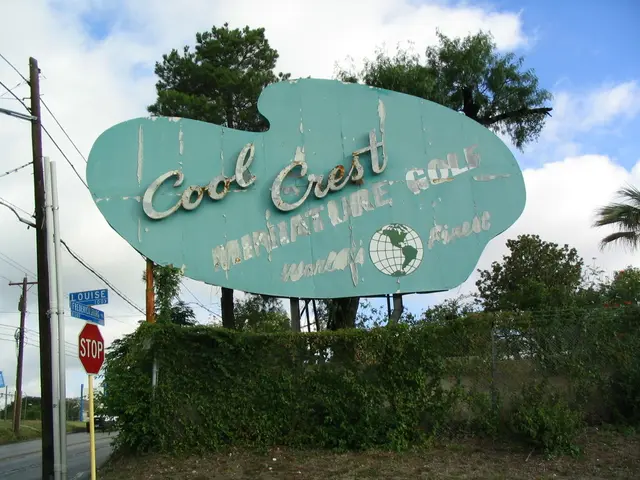 Role specializing in technological education and management solutions.