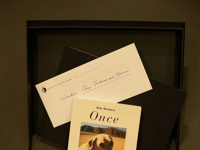 Top-Ranked Business Credit Cards for Veterinarians [Year 2025]