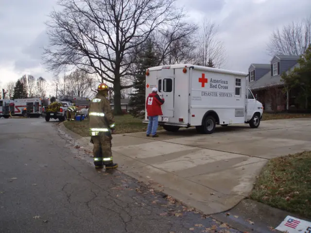 Westervelt Company's CEO selected for the Alabama School of Healthcare Sciences Board of Directors