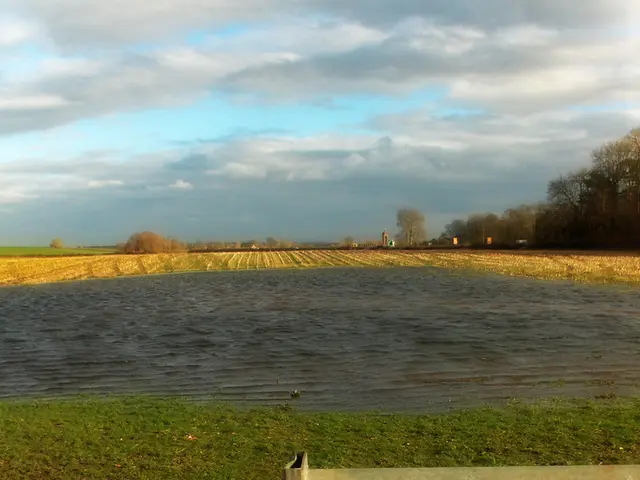 In this picture there is grassland and a boundary at the bottom side of the image and there is...