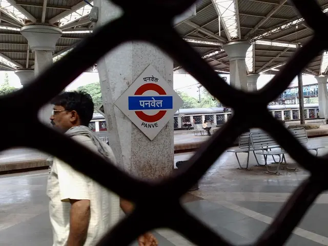 In this image there is a mesh, behind the mesh there is a platform, on that platform there is a...